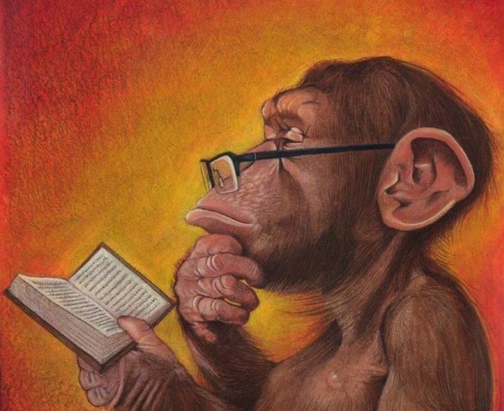 Monkey with Glasses Reading